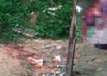 Idosa encontra detento morto com partes do corpo decepados em seu terreno em Manaus