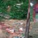 Idosa encontra detento morto com partes do corpo decepados em seu terreno em Manaus