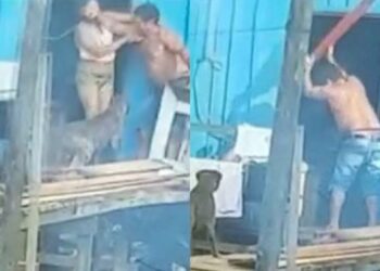 Vídeo: Homem é flagrado tentando matar companheira a pauladas após não gostar de almoço feito por ela