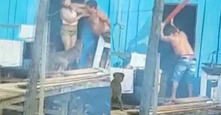 Vídeo: Homem é flagrado tentando matar companheira a pauladas após não gostar de almoço feito por ela
