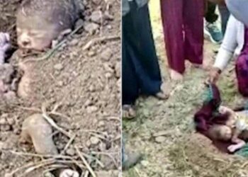 Moradores resgatam bebê após ele ser enterrado vivo em terreno baldio