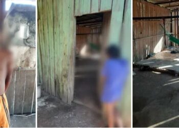 Homem é preso por estuprar irmãs de 16 e 8 anos no interior do AM