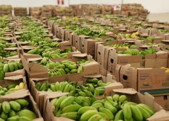 Campanha “Natal pra Todos Nós” da ADS vai doar 20 mil cestas natalinas a pessoas em situação de vulnerabilidade