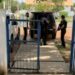 Homem que estuprou e engravidou enteada quatro vezes é preso em Barreirinha