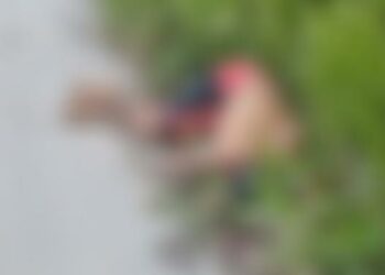 Homem é executado a tiros e corpo é jogado na AM-010