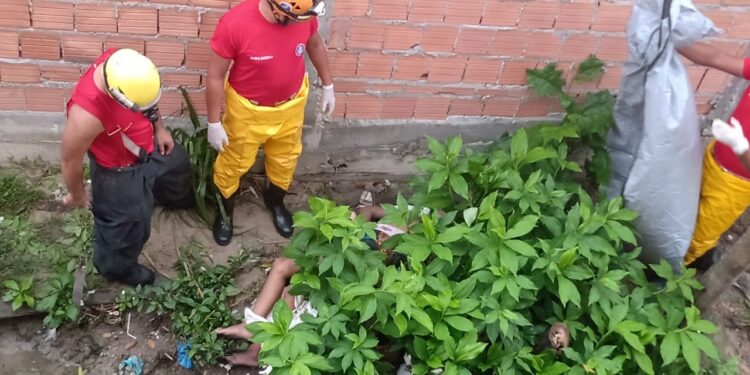 Corpo de jovem é encontrado em igarapé na Zona Norte de Manaus