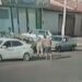 Vídeo: Homem dá voadora em mulher durante discussão de trânsito
