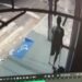 Vídeo: ladrão de apenas uma perna escala poste para furtar loja