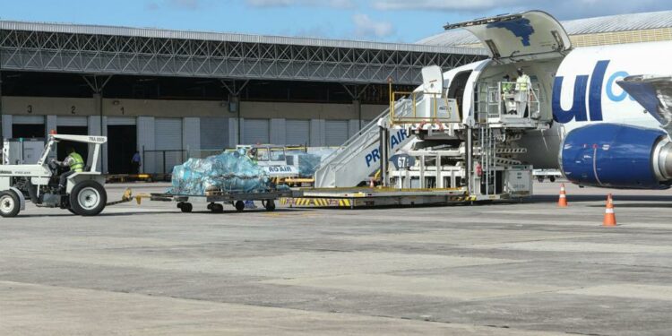AM recebe 200 concentradores de oxigênio doados pelo Estado de Pernambuco