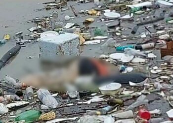 Corpo sem cabeça é encontrado boiando em igarapé