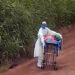 Após protestos de caminhoneiros na Transamazônica, enfermeira empurra maca com paciente com Covid-19