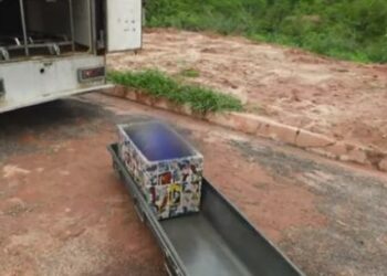 Corpo de mulher é encontrado dentro de baú em área de mata