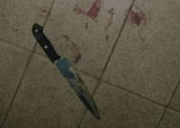 Garota de 11 anos esfaqueia irmã gêmea no peito e tenta furar irmão adolescente