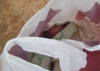 Mulher resgata bebê abandonada em sacola e decide adotar criança