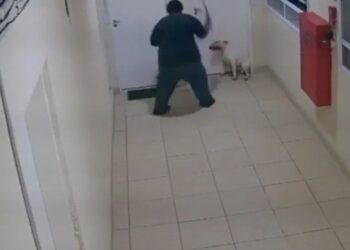 Homem é preso após ser flagrado espancando cachorro