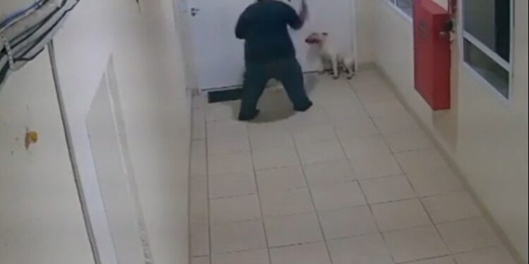 Homem é preso após ser flagrado espancando cachorro