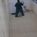Homem é preso após ser flagrado espancando cachorro