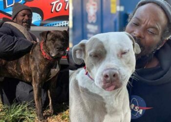 Sem-teto que salvou 16 animais de incêndio ganha uma casa e emprego