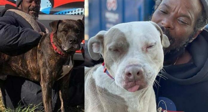 Sem-teto que salvou 16 animais de incêndio ganha uma casa e emprego
