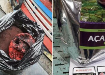 Cocaína negra com origem no AM é aprendida e preocupa à polícia: ‘Difícil de identificar’