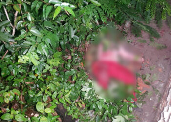 Mulher é executada a tiros e marido fica ferido após ter terreno invadido no ramal do Brasileirinho
