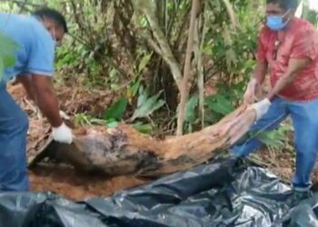 Caseiro mata esposa, enterra no quintal e diz que ela morreu de covid-19