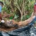 Caseiro mata esposa, enterra no quintal e diz que ela morreu de covid-19