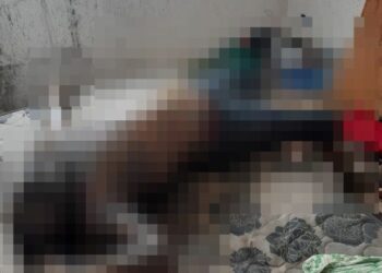 Corpo é encontrado em avançado estado de decomposição no Viver Melhor