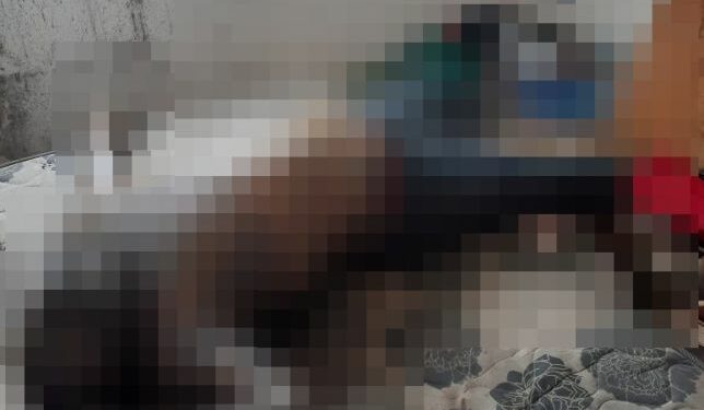 Corpo é encontrado em avançado estado de decomposição no Viver Melhor
