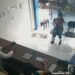 Cachorro com tumor entra sozinho em clínica e é salvo por veterinária; assista o vídeo