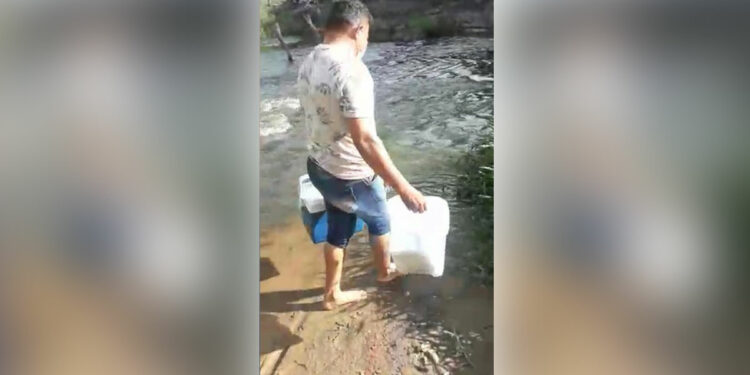 Técnico de enfermagem atravessa rio para vacinar idosa contra a Covid-19; assista o vídeo