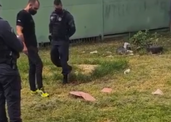 Feto de 6 meses é encontrado no meio do lixão por cão farejador