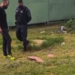 Feto de 6 meses é encontrado no meio do lixão por cão farejador