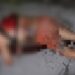 Após suplicar pela vida, mulher é morta a tiros em ramal na zona Leste de Manaus