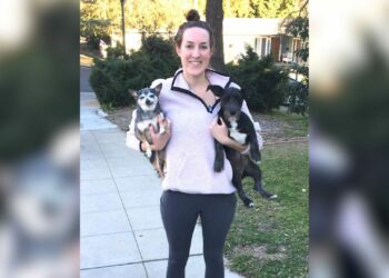 Mulher morre ao ser atingida por suicida que se jogou de prédio