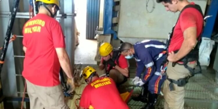Tragédia! Homem entra em secadora de grãos para salvar irmão e ambos morrem