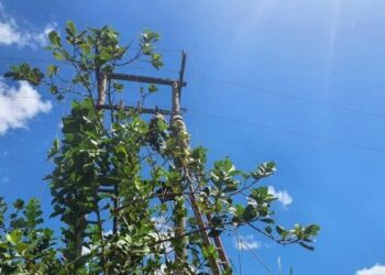 Homem é encontrado morto e pendurado em poste de alta tensão