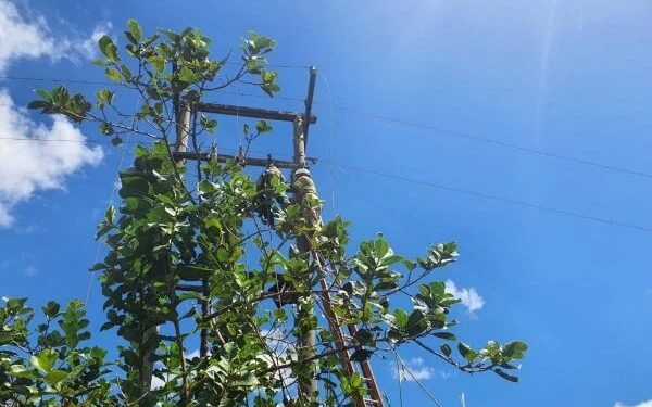 Homem é encontrado morto e pendurado em poste de alta tensão