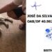 Cão ganha na Justiça direito à medida protetiva após levar tiro no olho