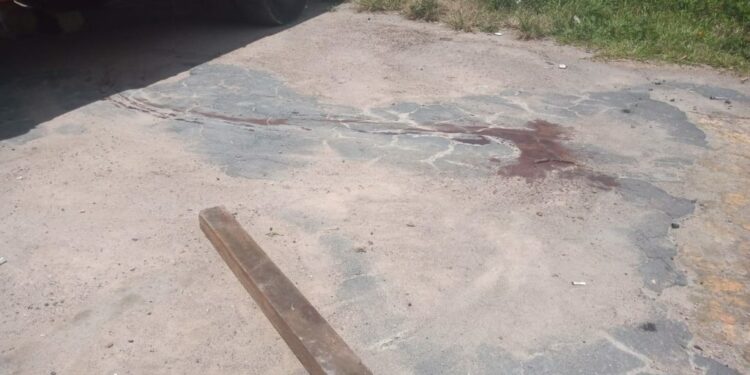 Corpo é encontrado em área de mata próxima ao Encontro das Águas