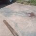 Corpo é encontrado em área de mata próxima ao Encontro das Águas