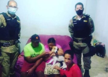 Cão leva 4 facadas ao tentar defender dona da agressão do marido