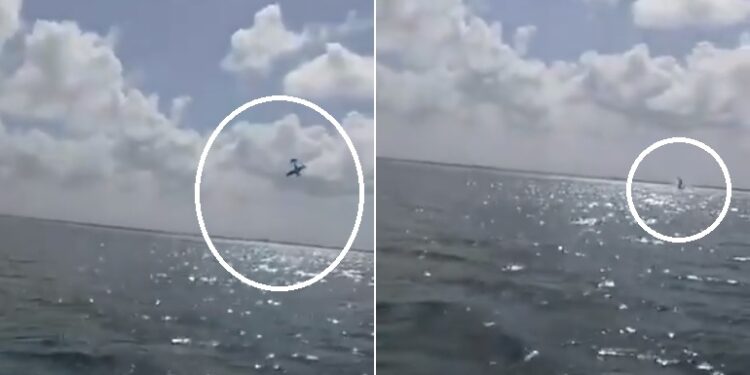 Tragédia! Avião despenca no mar durante chá revelação e duas pessoas morrem