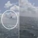 Tragédia! Avião despenca no mar durante chá revelação e duas pessoas morrem