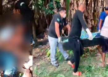 Homem encontra cadáver durante passeio com cachorro em Manaus