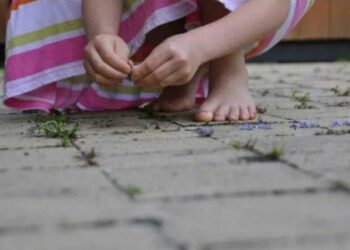 Menina de 7 anos é estuprada por amigo de pai durante visita em sua casa