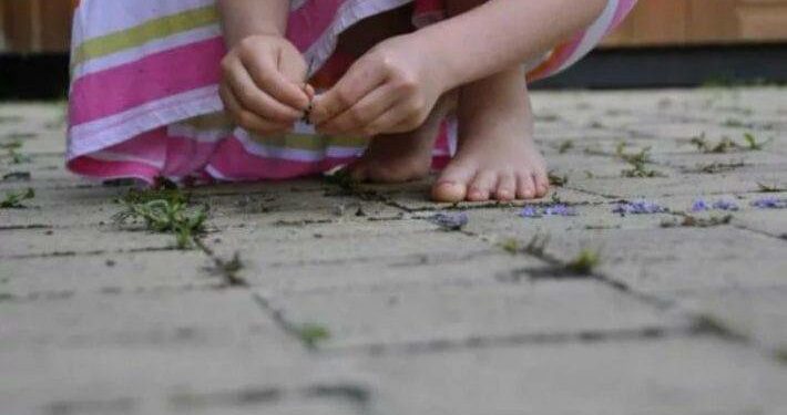 Menina de 7 anos é estuprada por amigo de pai durante visita em sua casa