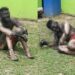 Homem leva descarga elétrica ao tentar roubar fiação em Manaus