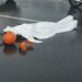Motociclista morre após colisão violenta com caçamba em Manaus