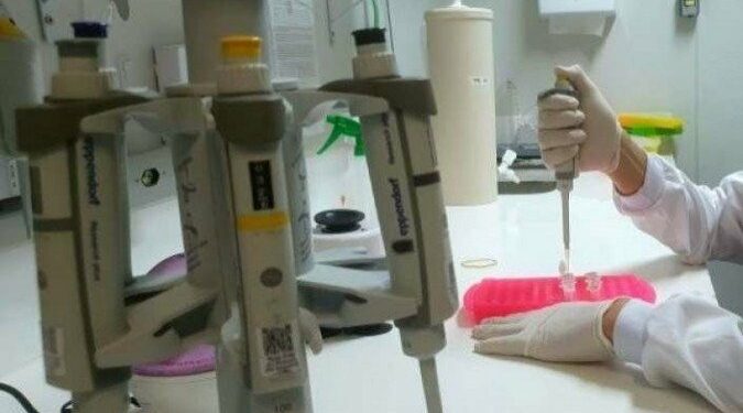 Pesquisadores da UnB estudam remédio contra AIDS no combate à Covid-19